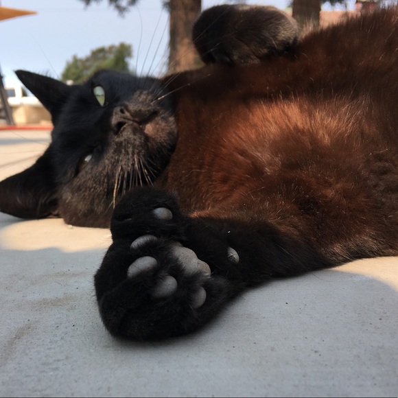 Meet your Posher, Edgar - Picture 8 of 8